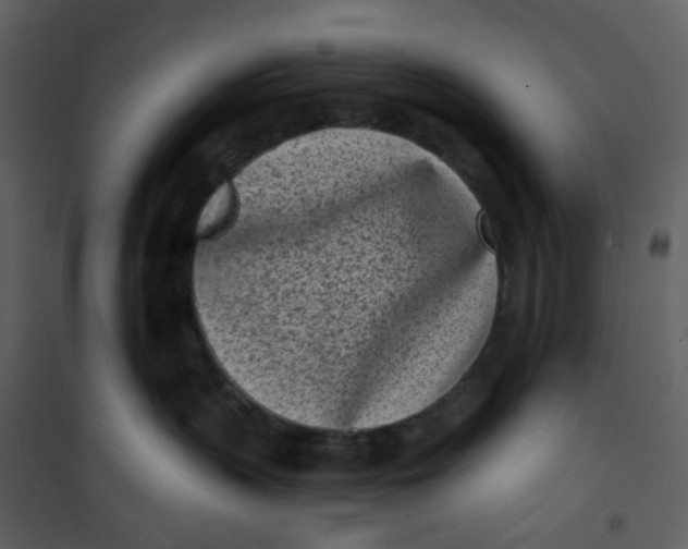 X0000101200383200807181541