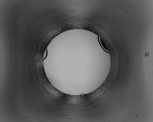 X0000101200384200807181541