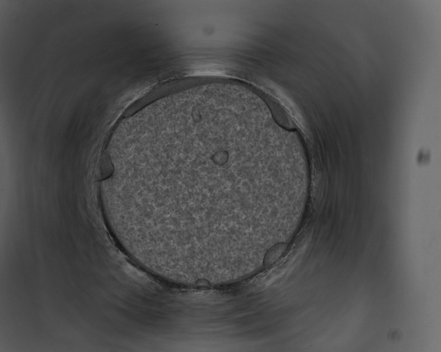 X0000101200385200807181540