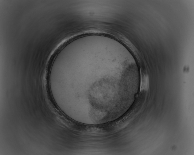 X0000101200387200807181540