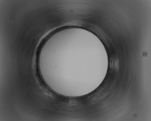 X0000101200388200807181540