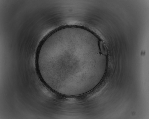 X0000101200391200807181540