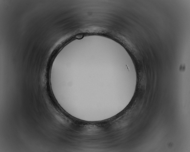 X0000101200392200807181540