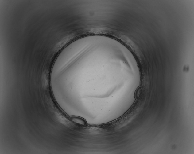 X0000101200393200807181540