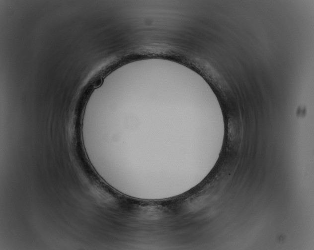 X0000101200396200807181540