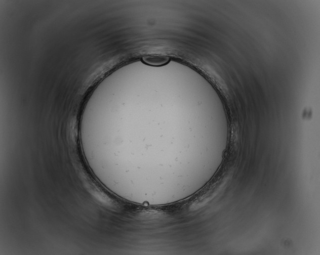 X0000101200397200807181540