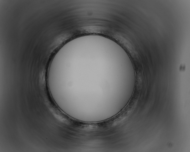 X0000101200398200807181540