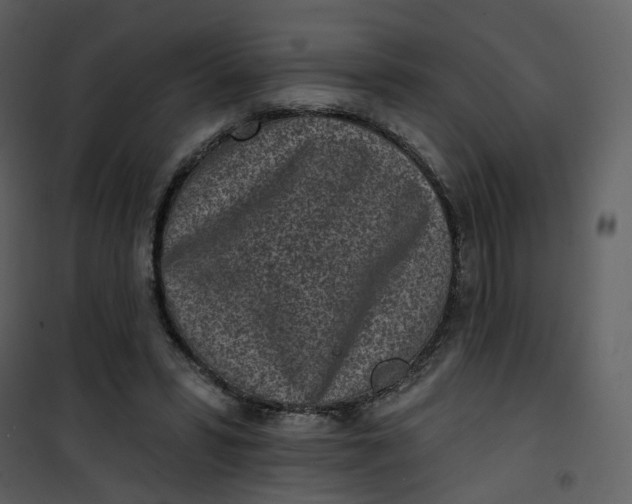 X0000101200399200807181540