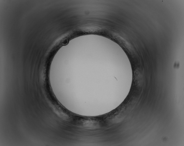 X0000101200400200807181540