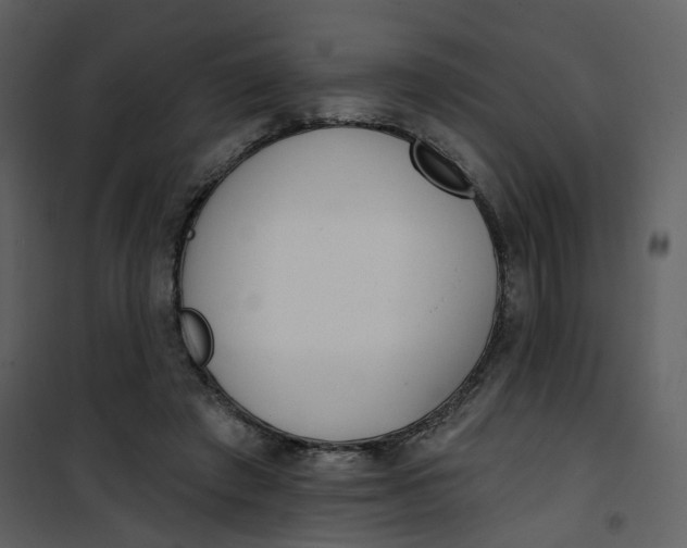 X0000101200401200807181540