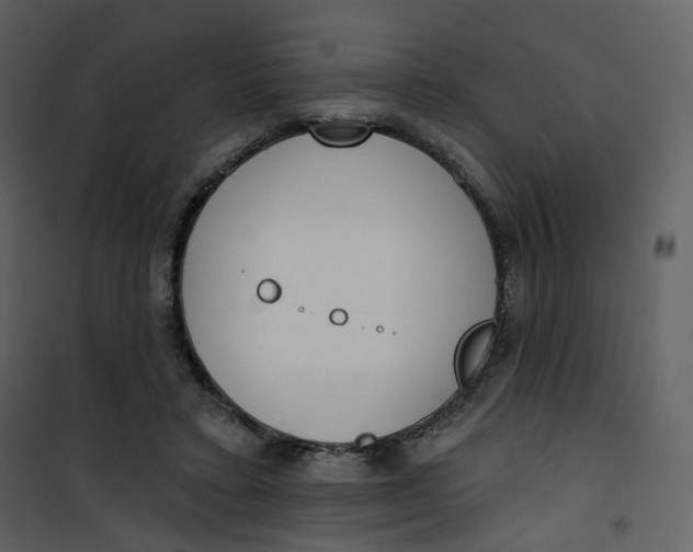 X0000101200403200807181540