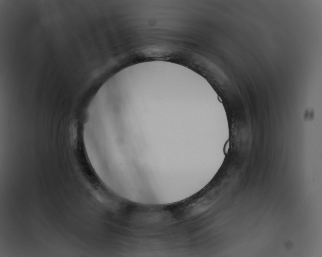 X0000101200404200807181540