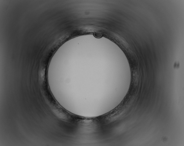 X0000101200406200807181540