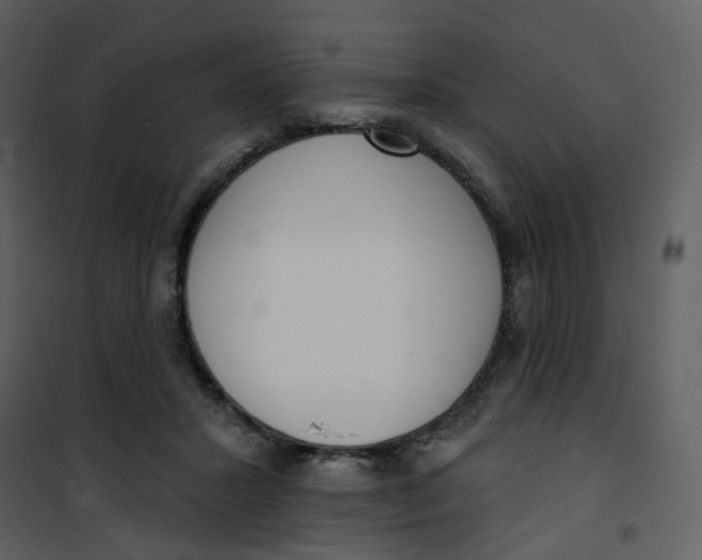 X0000101200407200807181540