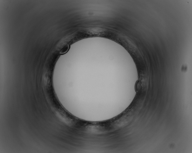 X0000101200408200807181540