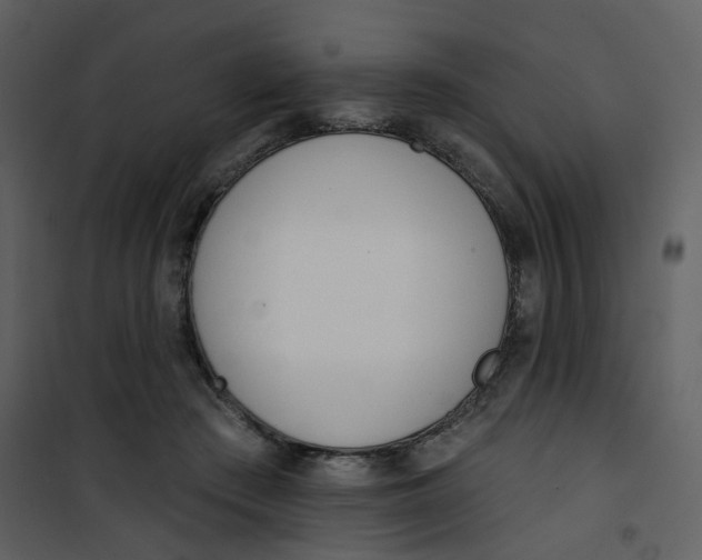 X0000101200409200807181540