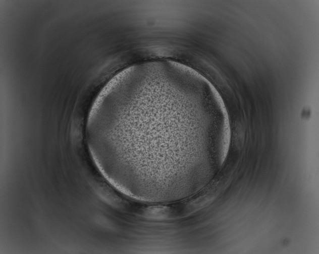 X0000101200410200807181540