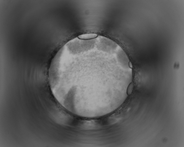 X0000101200411200807181540