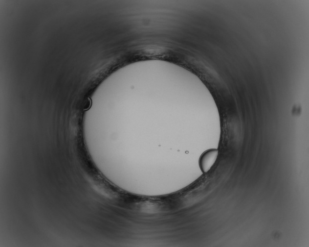 X0000101200412200807181540