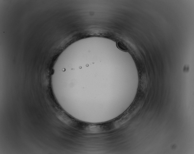 X0000101200413200807181540