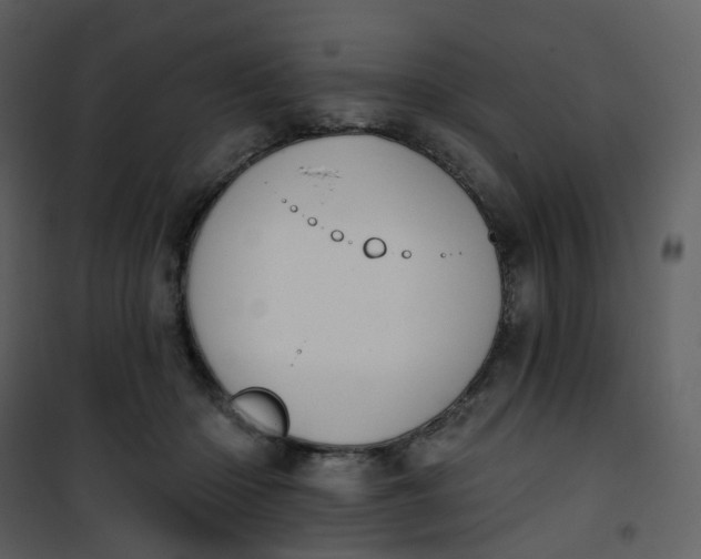 X0000101200414200807181540