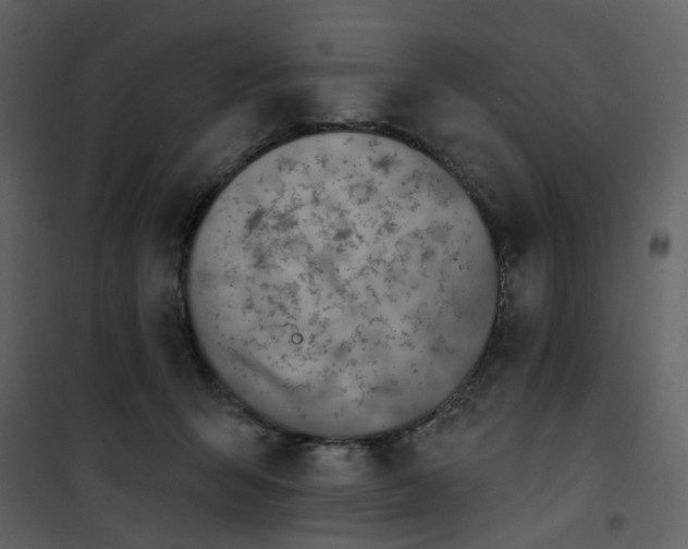 X0000101200415200807181540