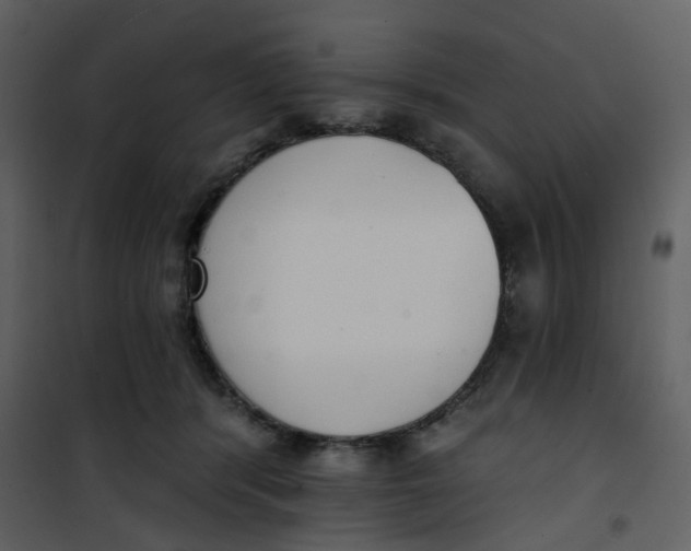 X0000101200416200807181540