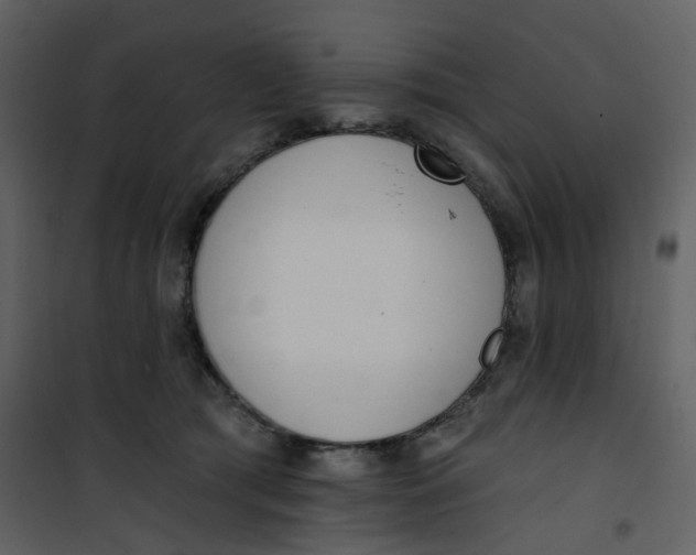 X0000101200417200807181540