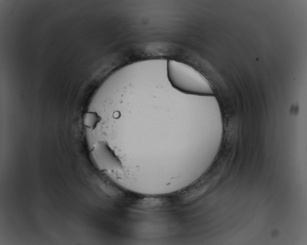 X0000101200418200807181540