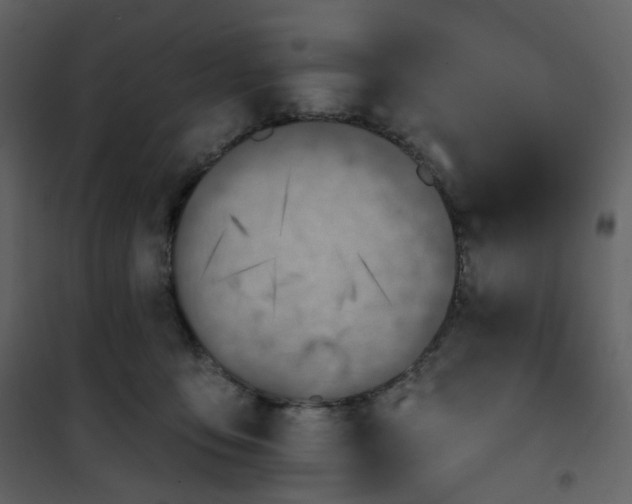 X0000101200419200807181540