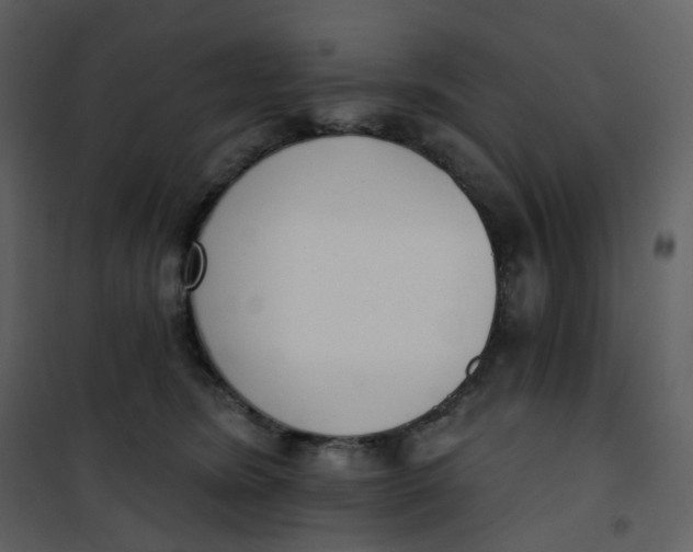 X0000101200420200807181540