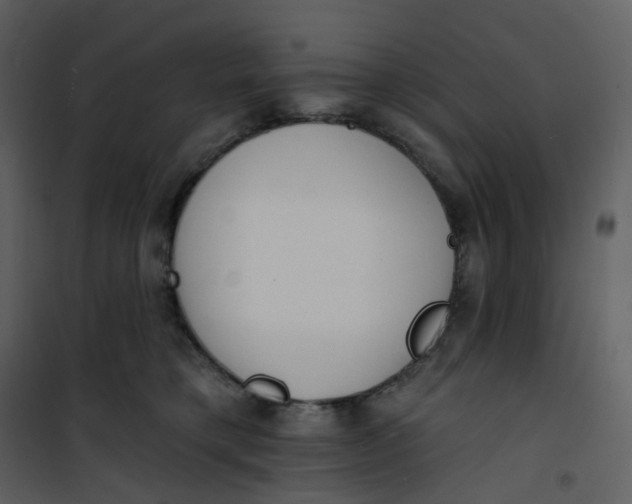 X0000101200421200807181540