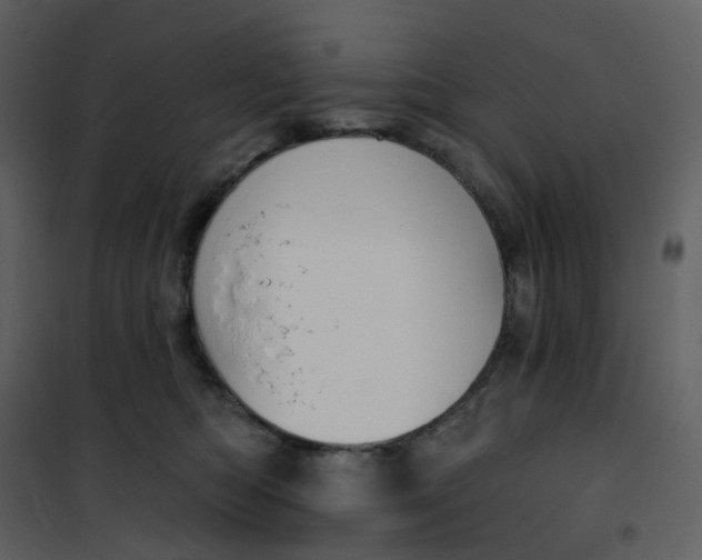 X0000101200422200807181540