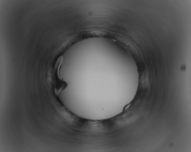 X0000101200424200807181540