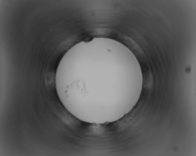 X0000101200425200807181539