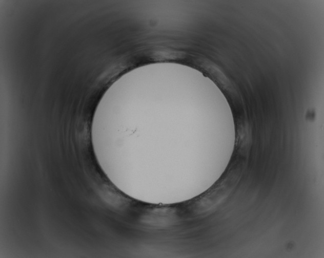 X0000101200426200807181539