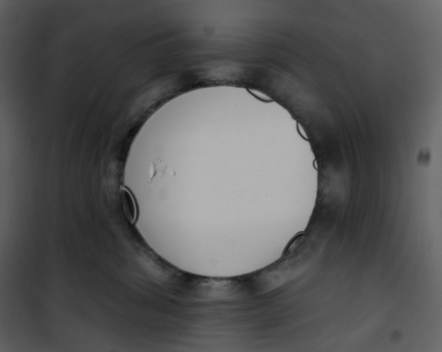 X0000101200428200807181539