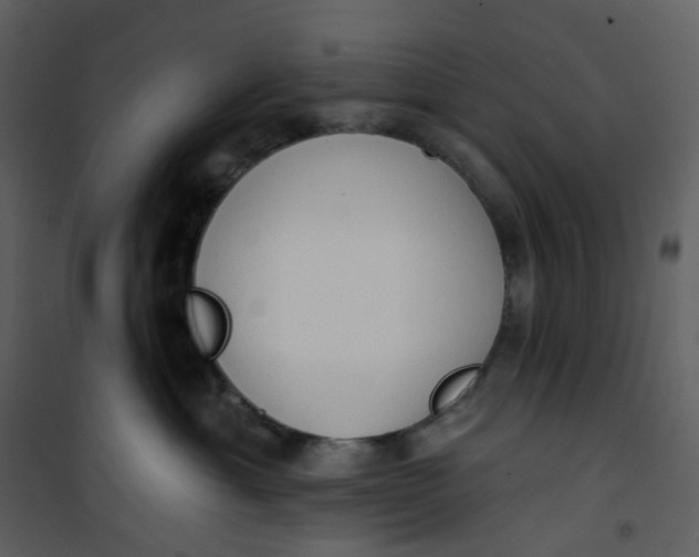 X0000101200429200807181539