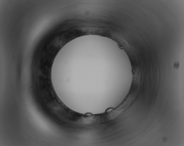 X0000101200430200807181539