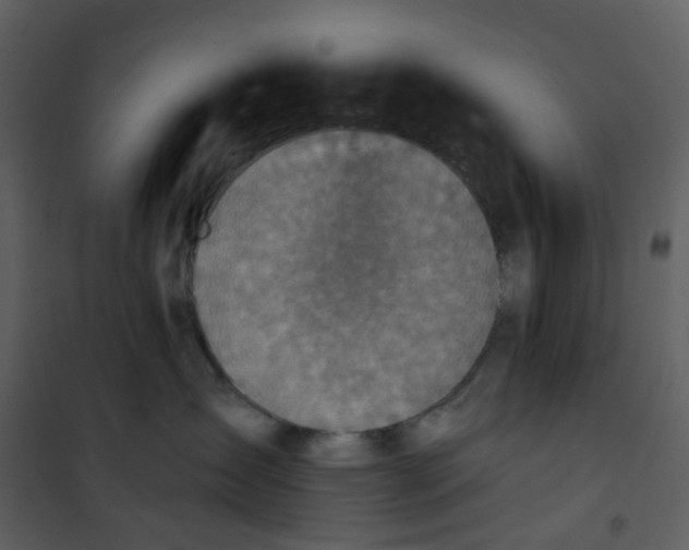 X0000101200431200807181539