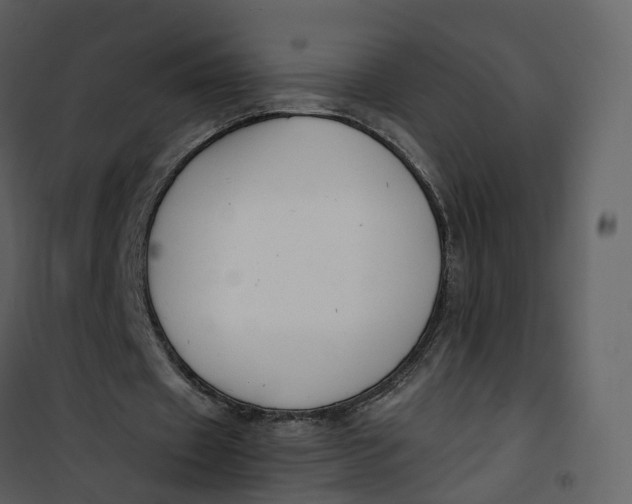 X0000101200433200807181539