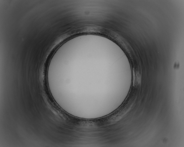 X0000101200435200807181539