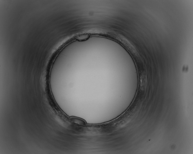 X0000101200436200807181539