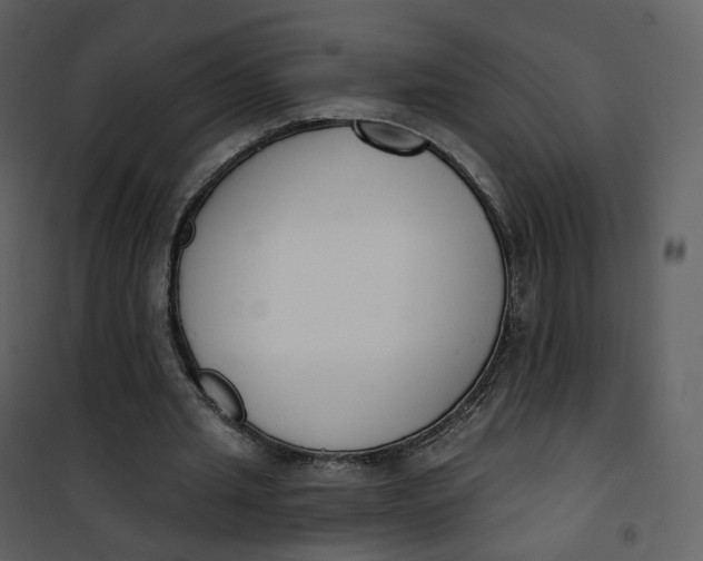 X0000101200437200807181539