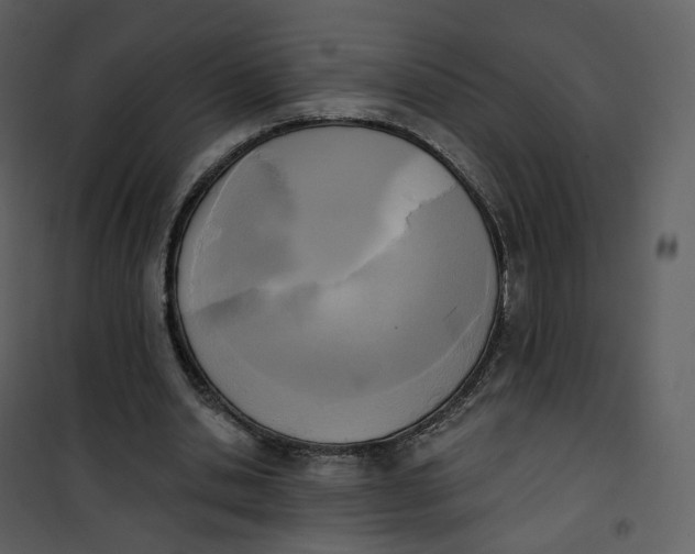 X0000101200438200807181539