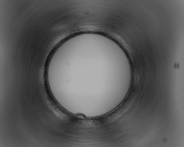 X0000101200439200807181539