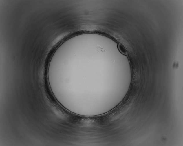 X0000101200440200807181539