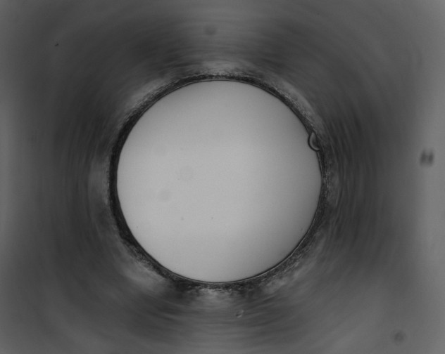 X0000101200442200807181539