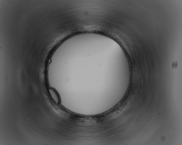 X0000101200443200807181539