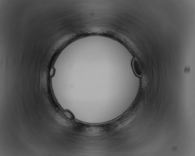 X0000101200444200807181539